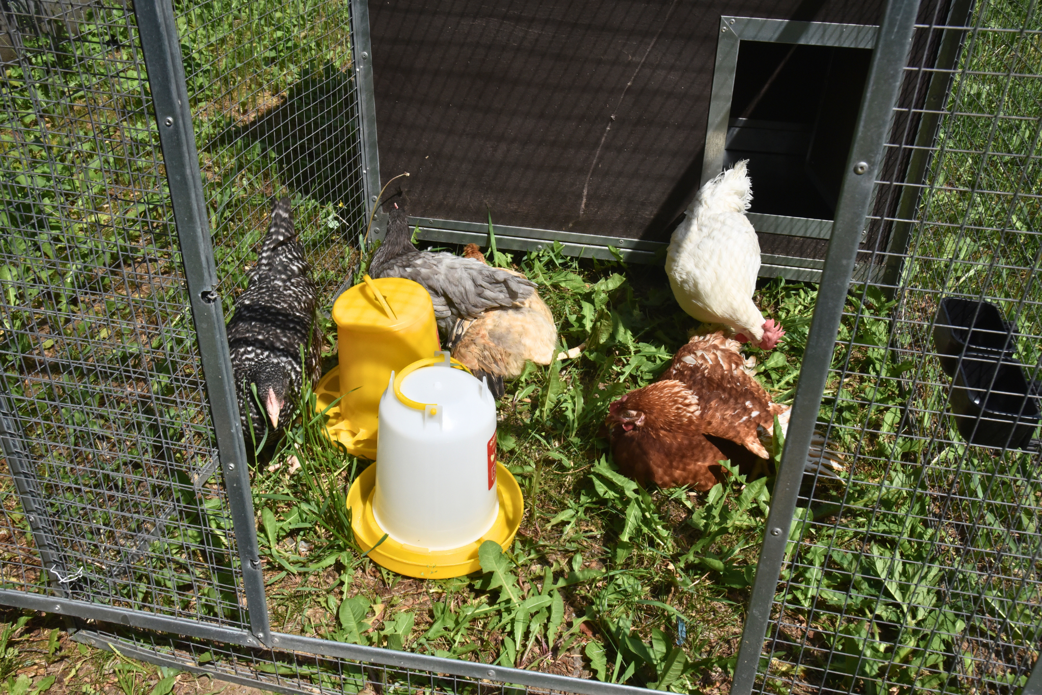 Утеплённый домик с выгулом "Лужайка-1". Фото 27