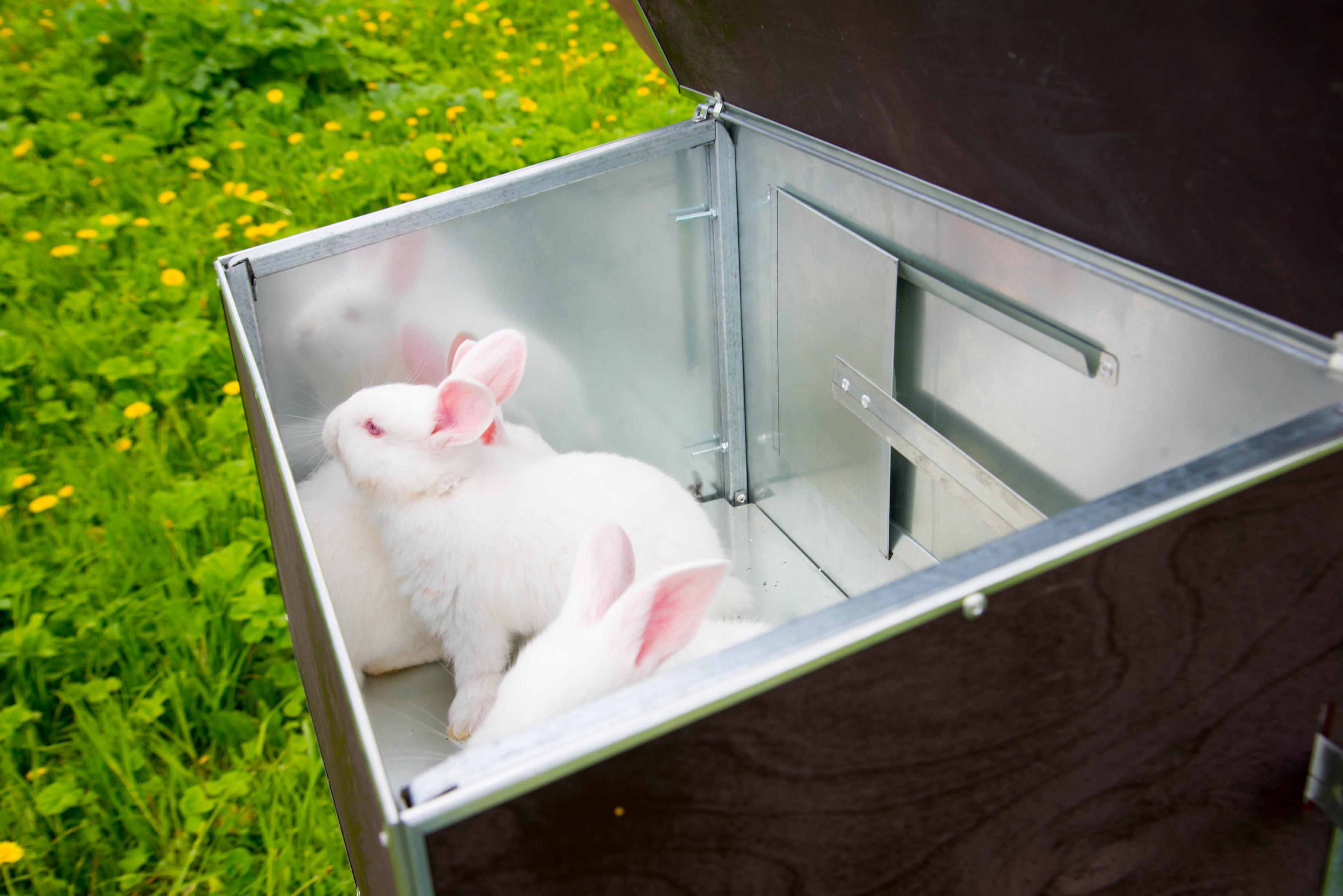 Уличный домик для кроликов "Фаворит" КР2-М-М. Фото 8