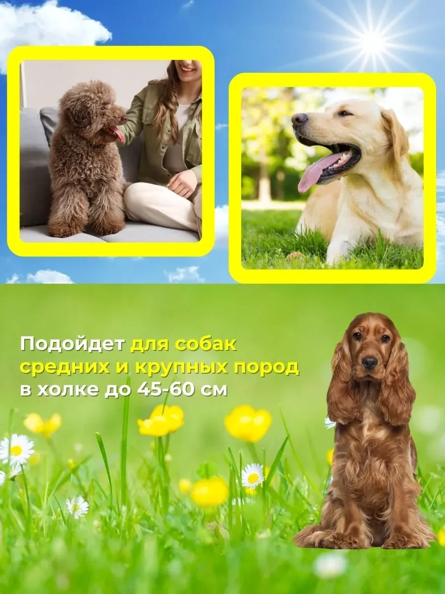 Будка для собак утепленная M. Фото 3