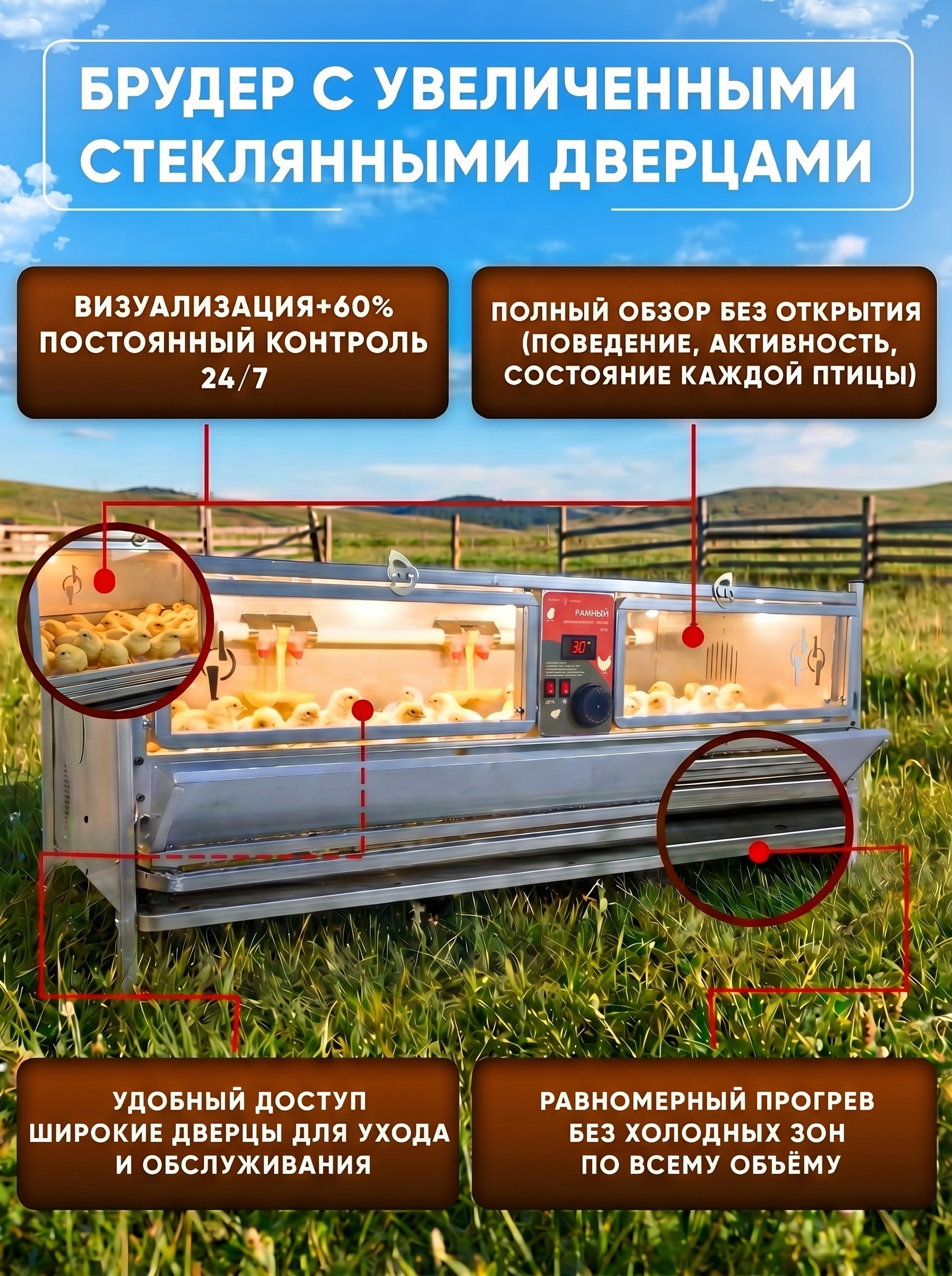 Рамный автоматический брудер 0708 Премиум. Фото 5 Рамный автоматический брудер 0708 Премиум. Фото 5