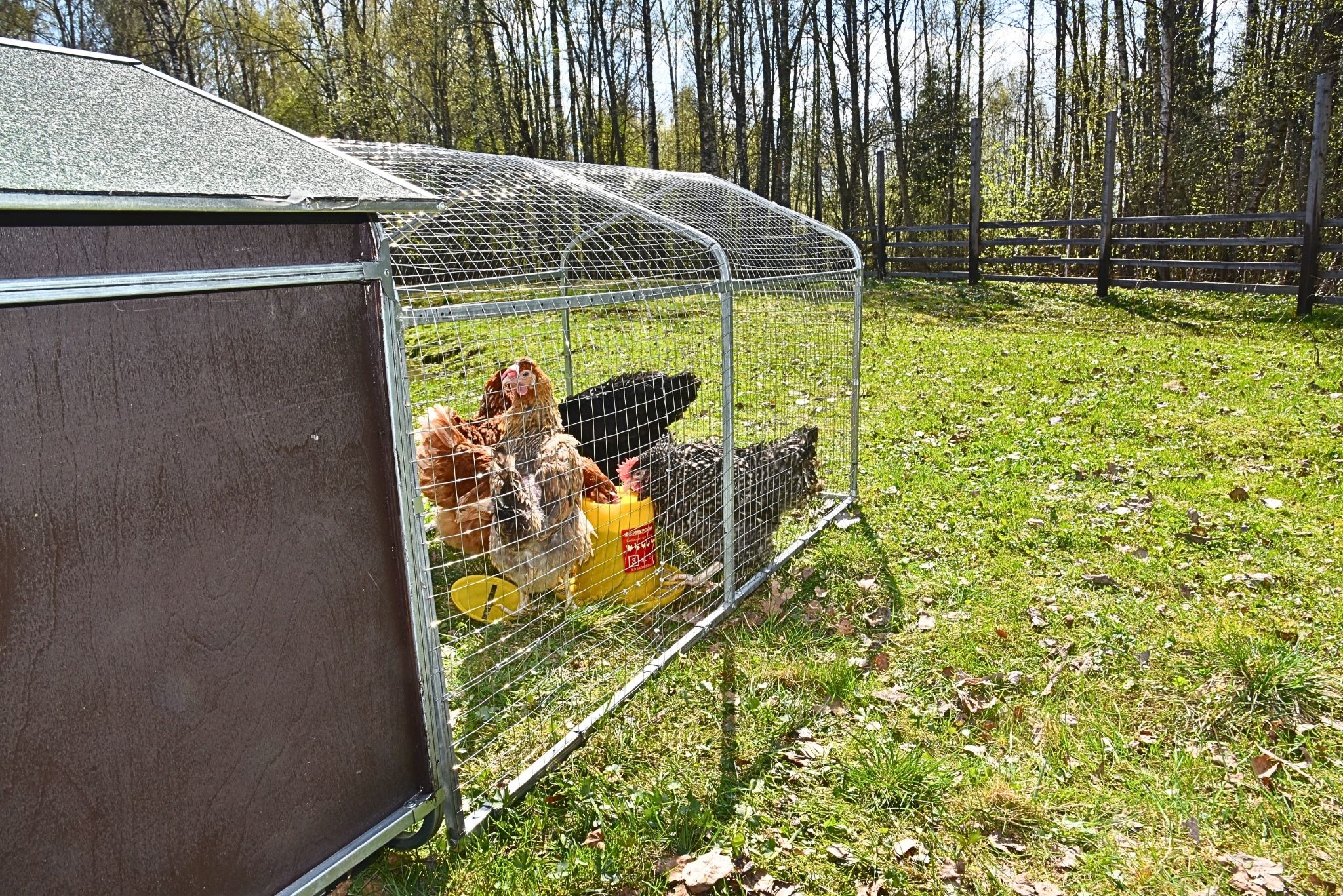 Курятник "Фаворит" на 8-10 кур. Фото 20