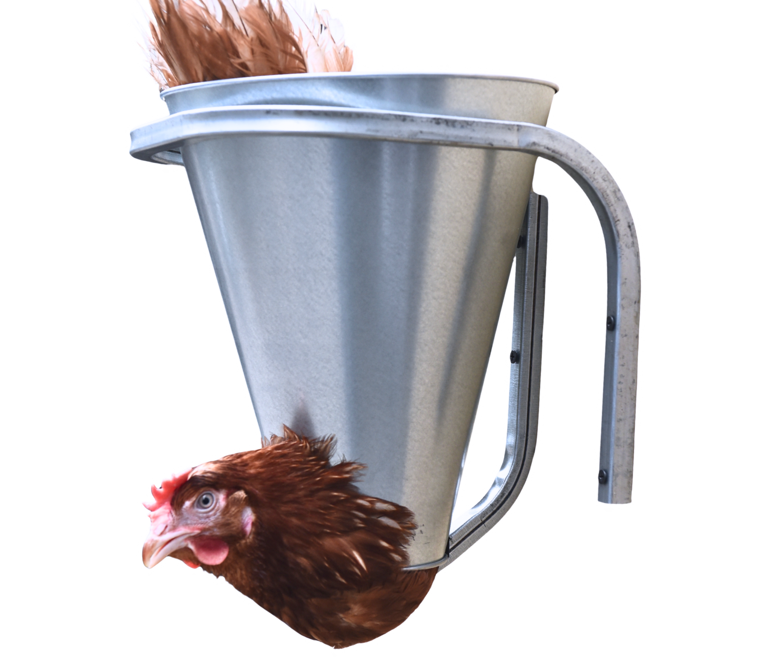 Конус для убоя "S" с кронштейном крепления-(D-75/190; H-220). Фото 6