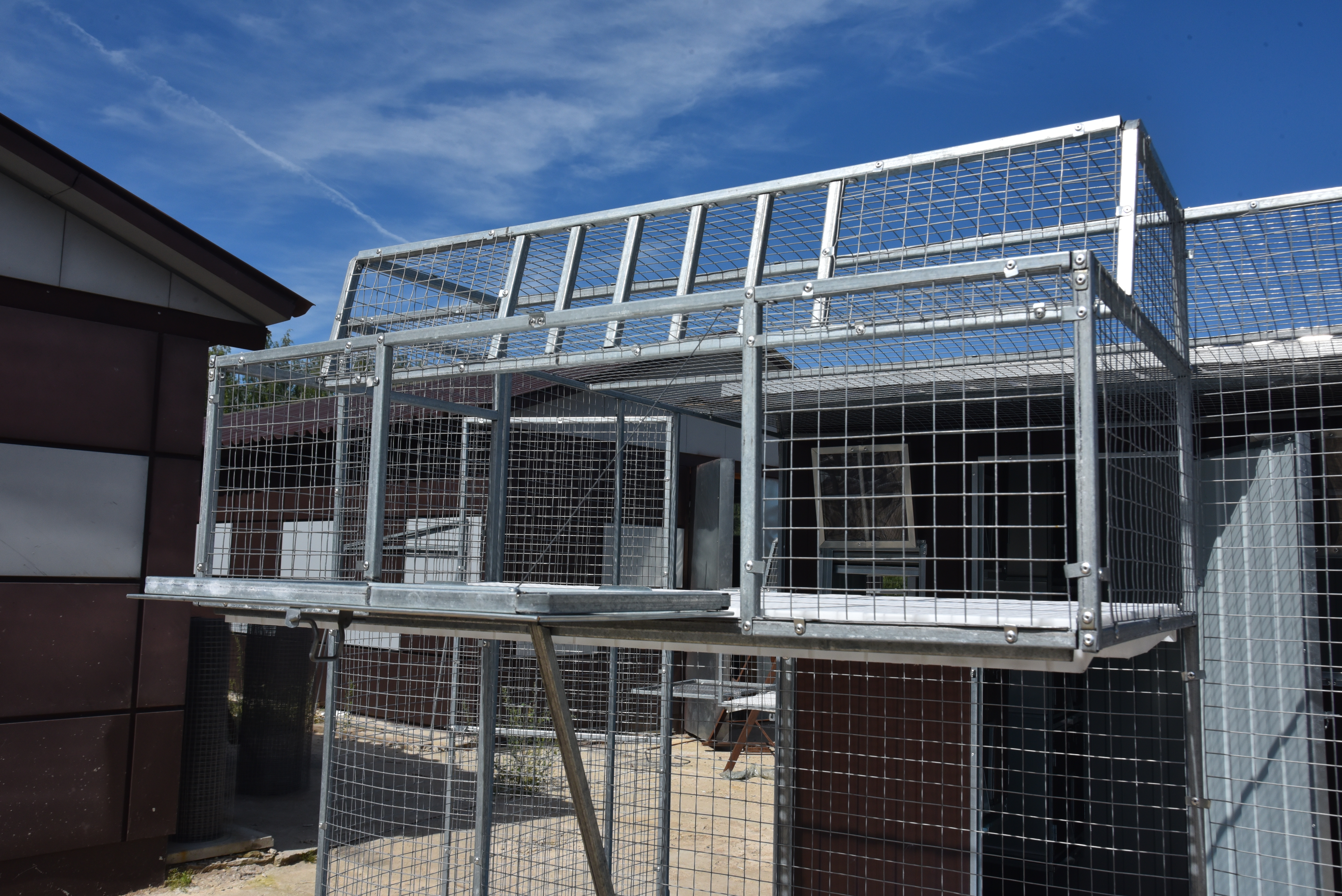 Голубятня "Любовь". Фото 4