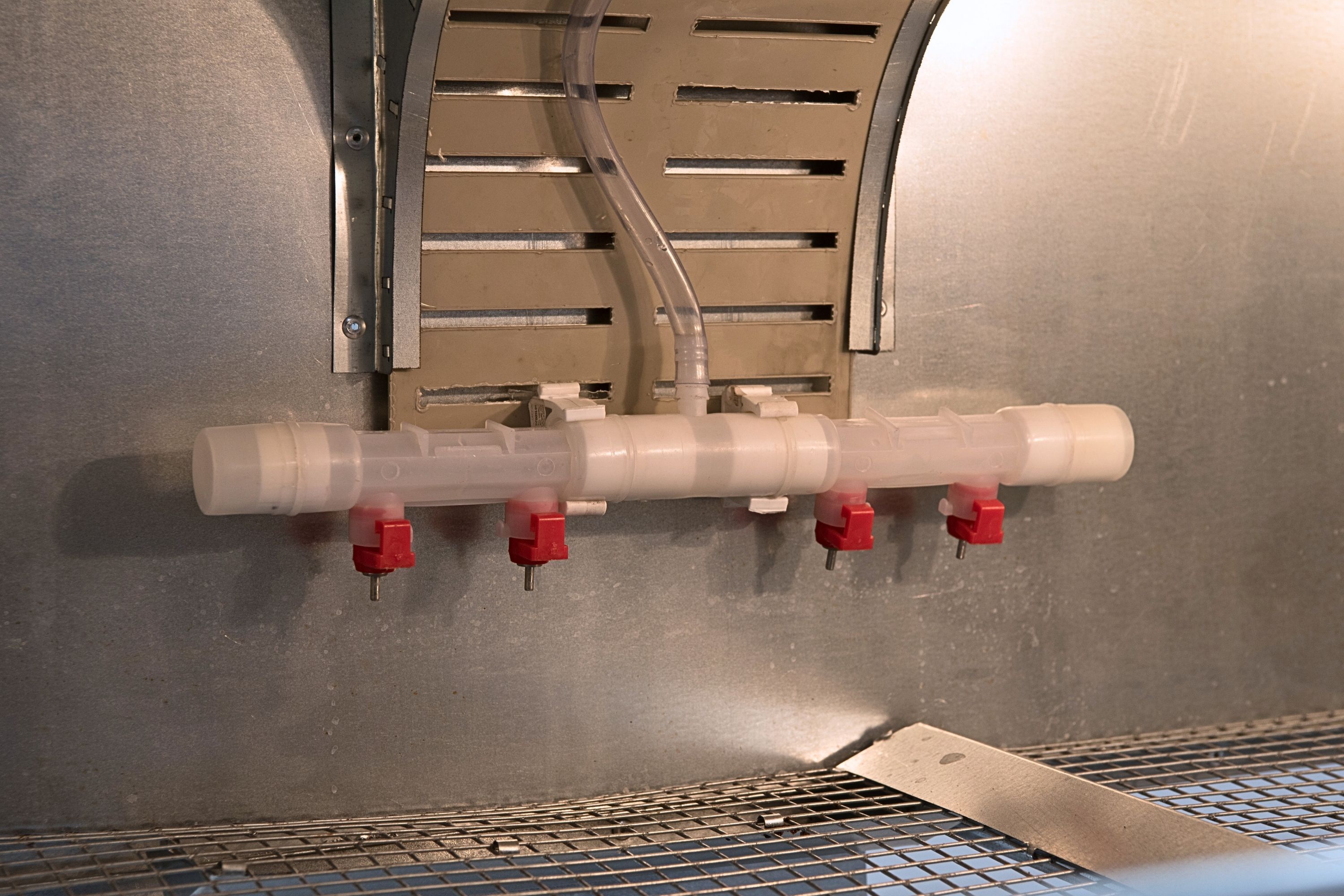 Брудер для цыплят автоматический "Рост А100.4". Фото 18