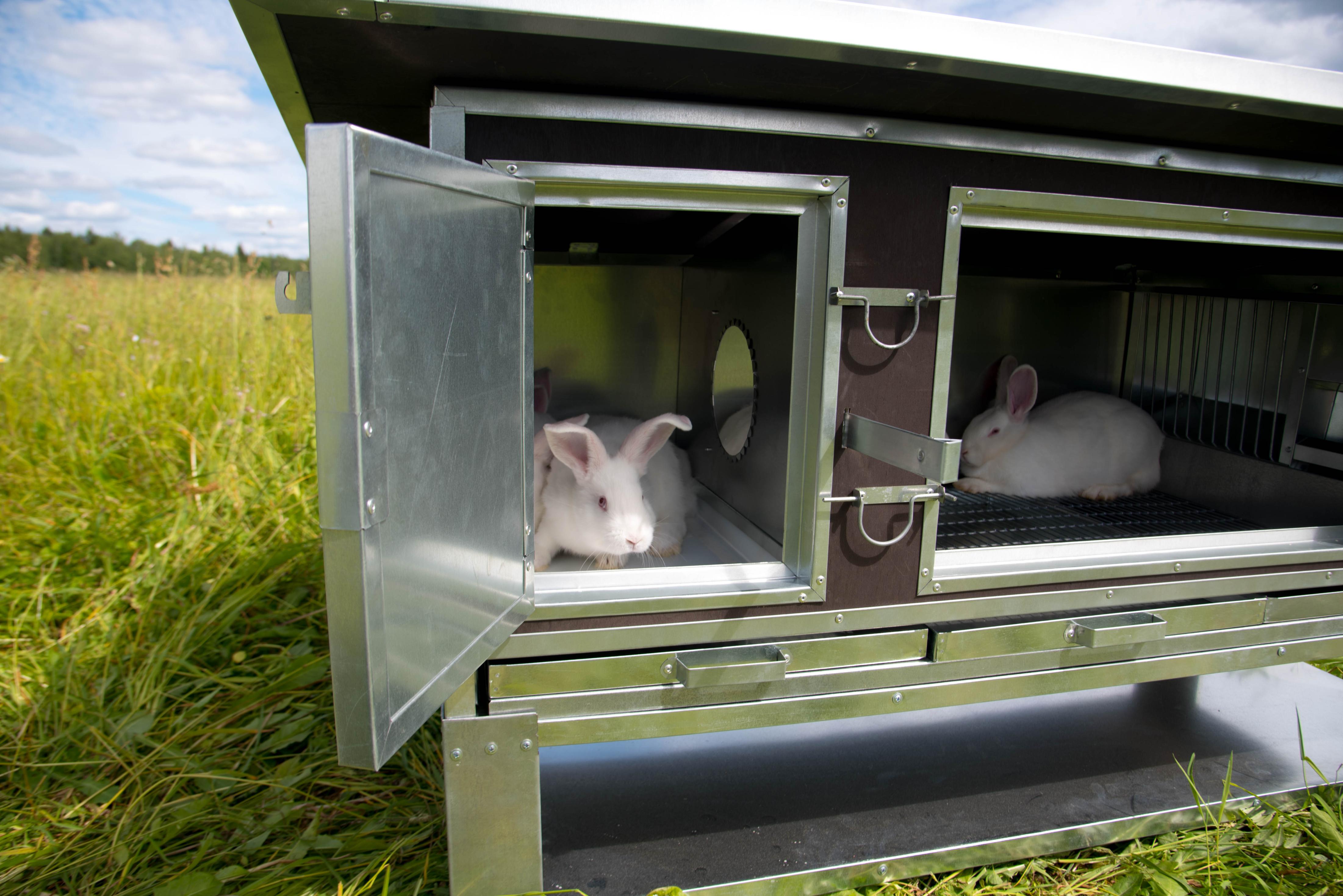 Утепленный отапливаемый крольчатник "Бестселлер" М-11. Фото 8