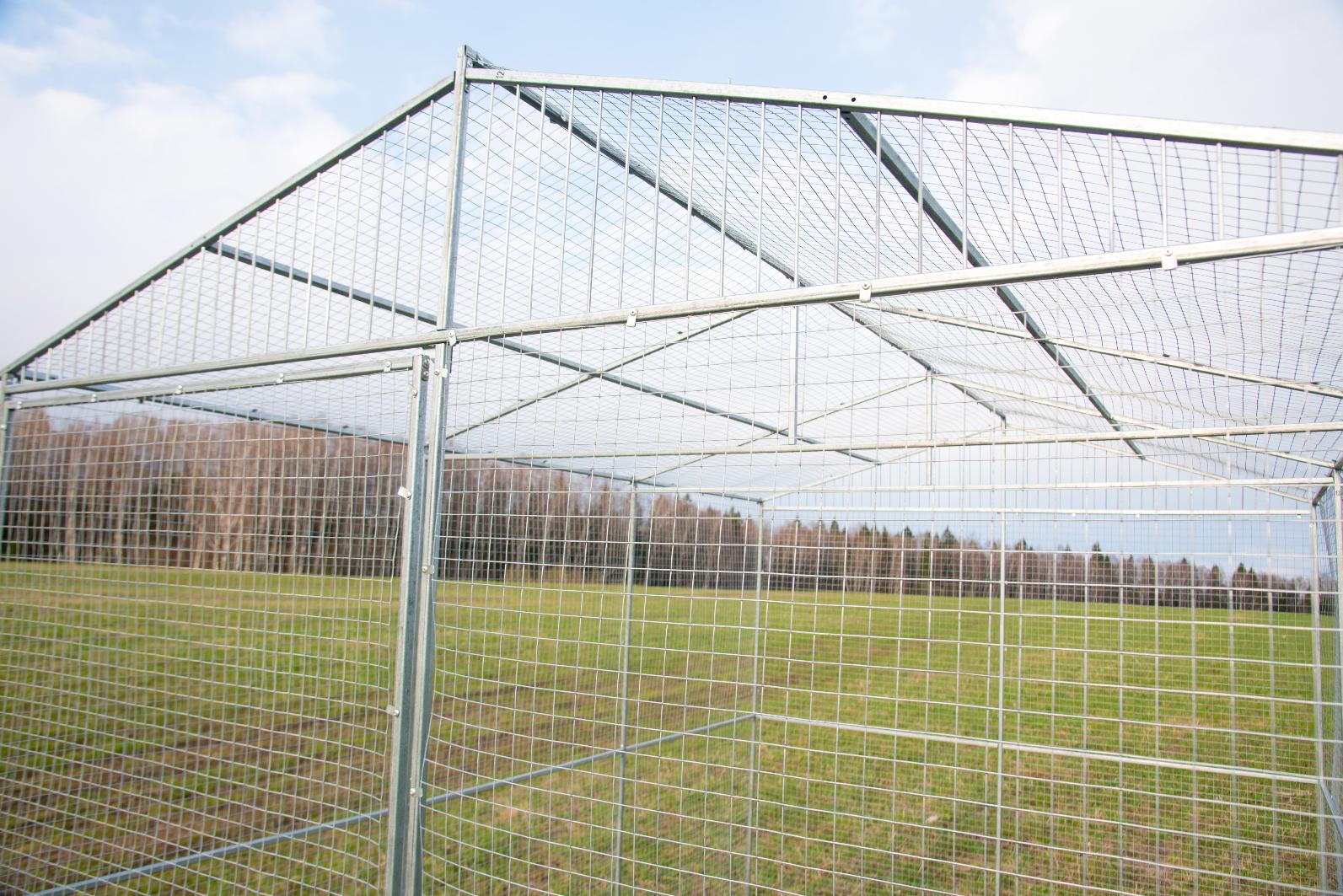 Выгул "Разгуляй" из сетки 2-6-С. Фото 5