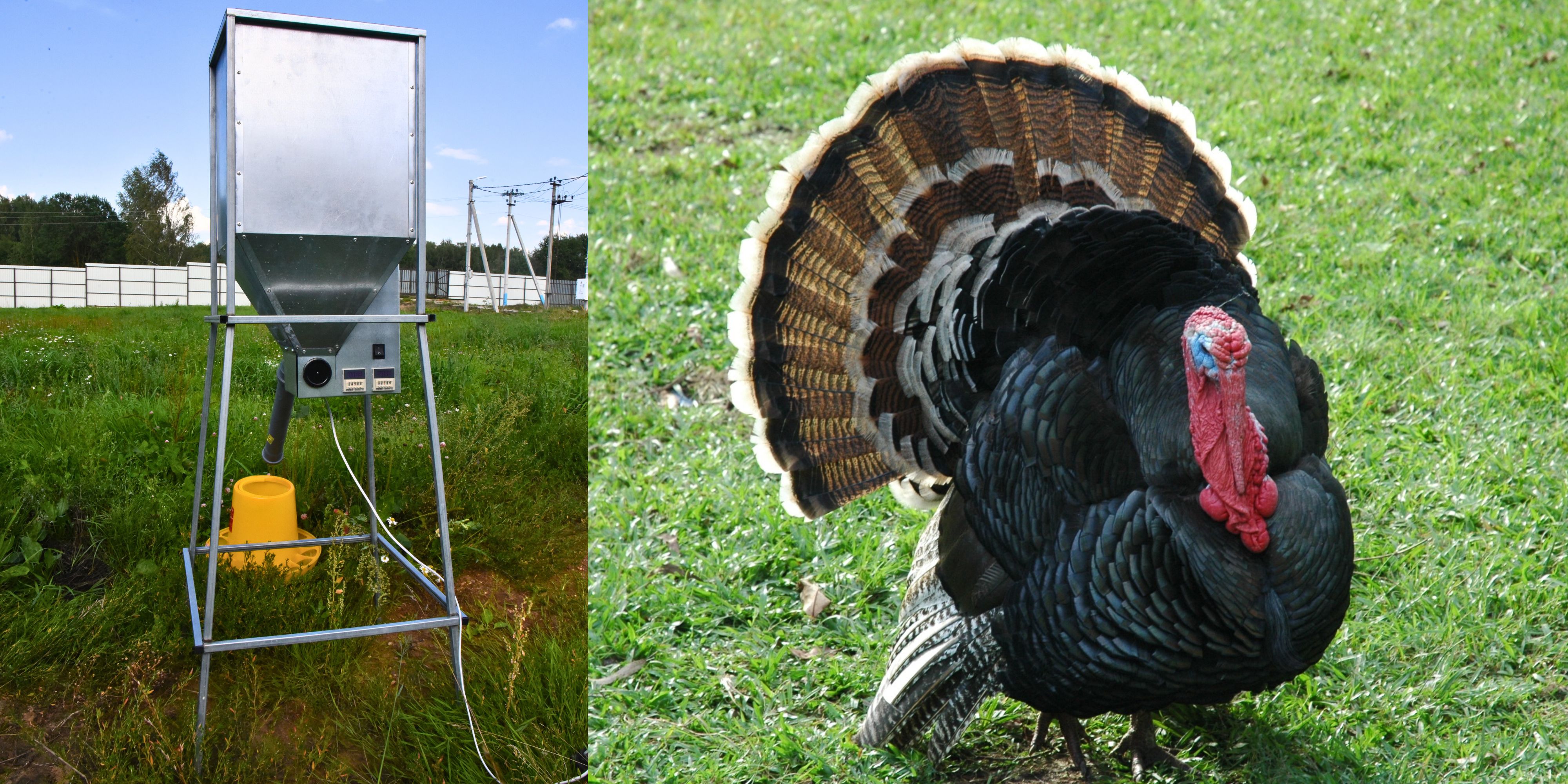 Бункер кормовой автоматический "Дозатор 90". Фото 14