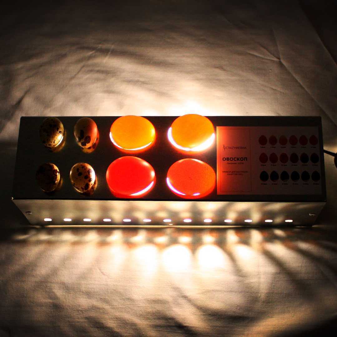 Овоскоп 10. Фото 4