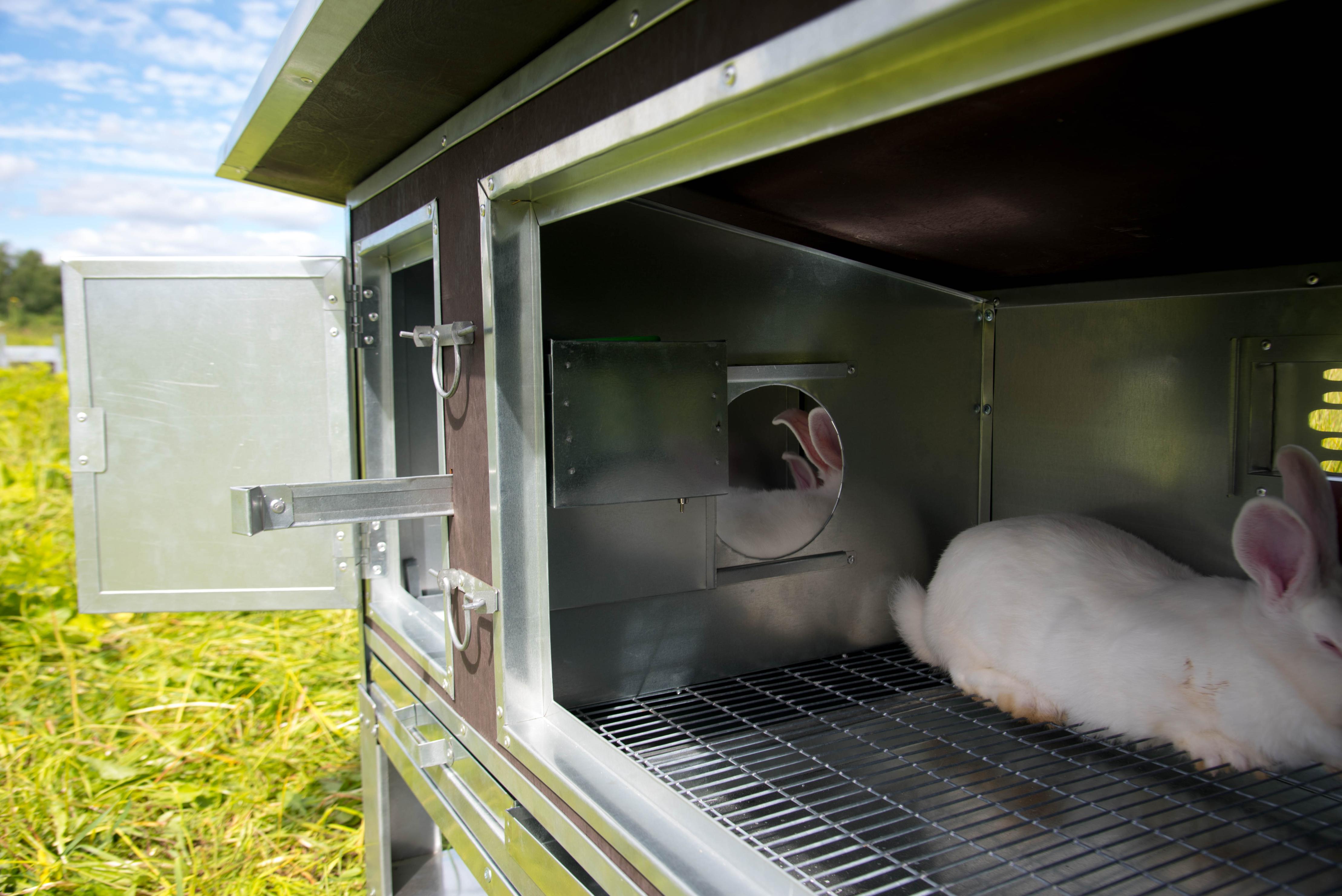 Утепленный отапливаемый крольчатник "Бестселлер" М-12. Фото 17