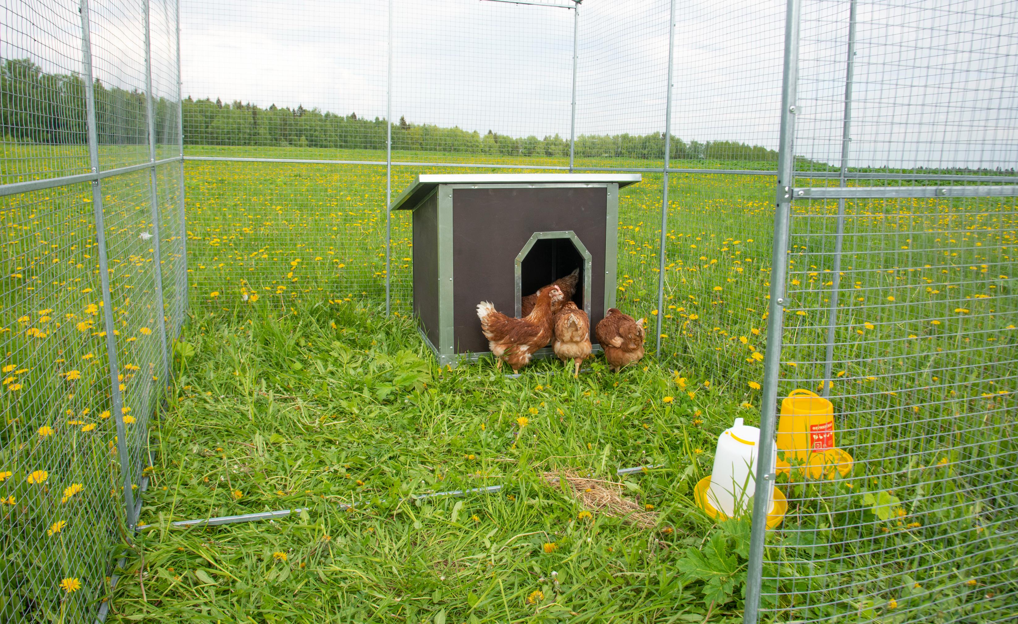Выгул "Разгуляй" из сетки 2-4-С. Фото 10