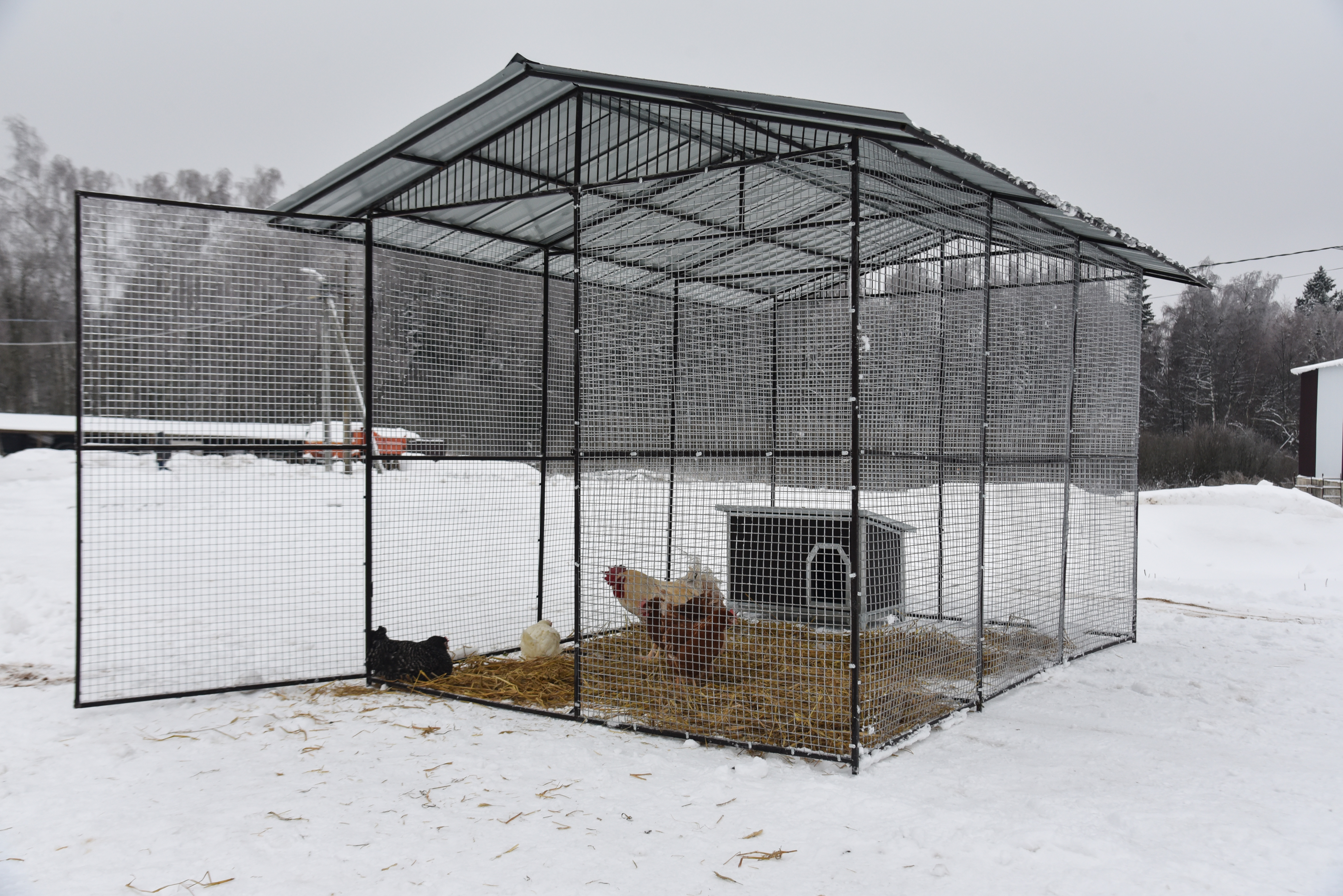 Выгул "Разгуляй" с крышей 2-4-К. Фото 10