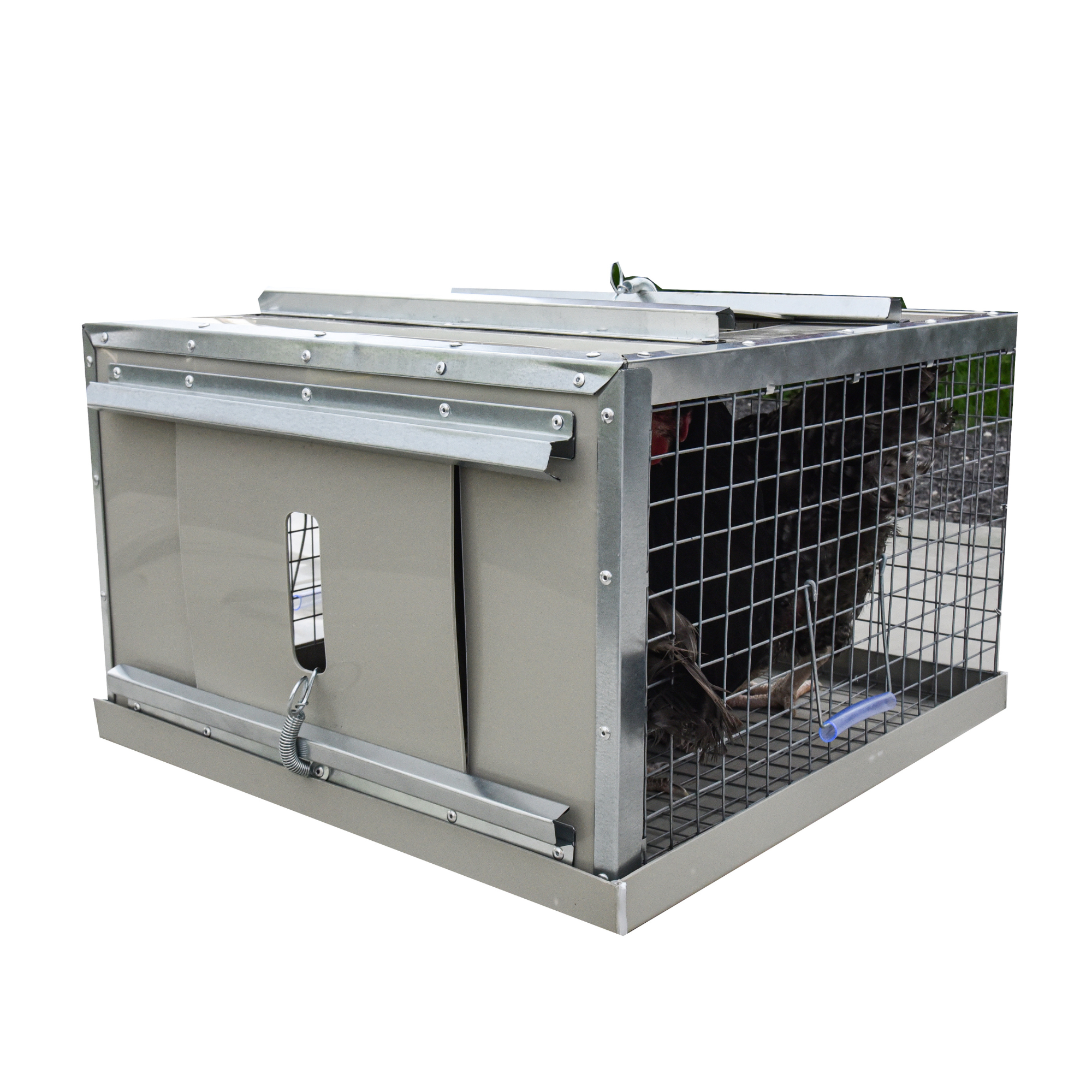 Клетка-переноска для птицы с 2 дверцами. Фото 22