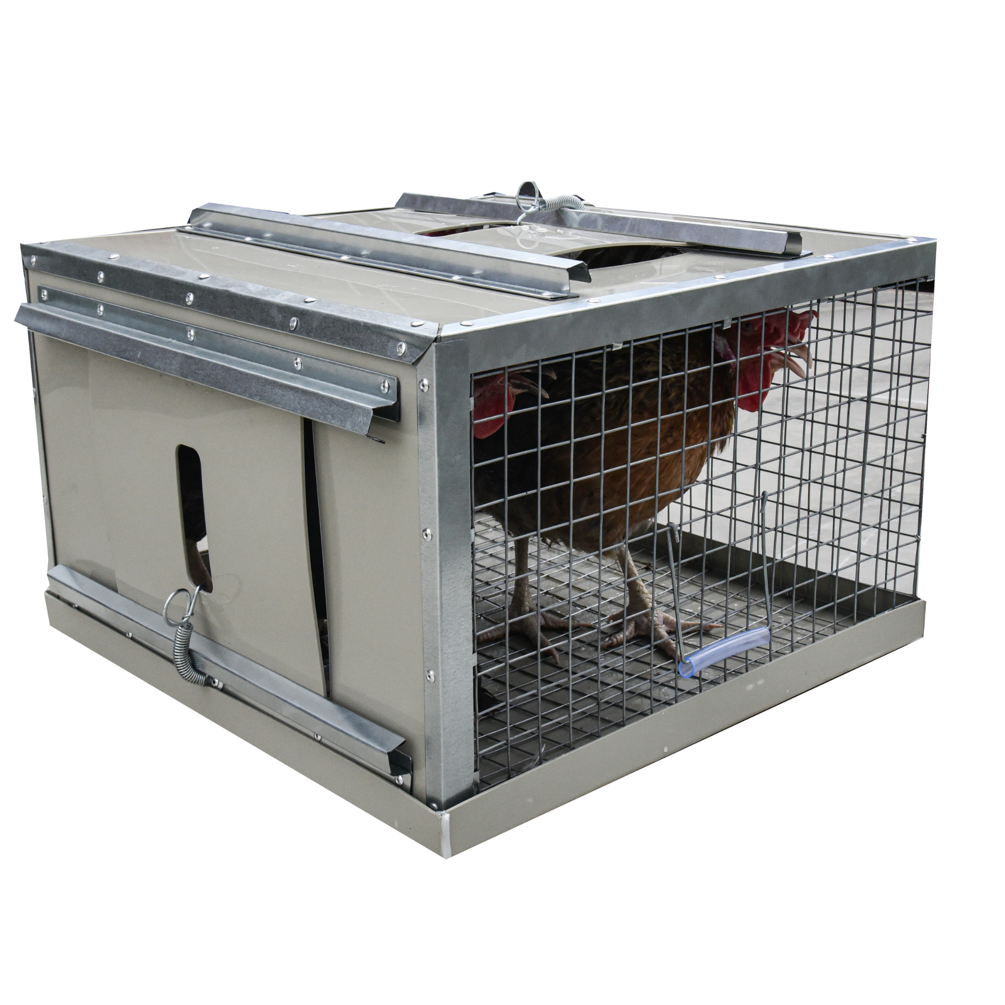 Клетка-переноска для птицы с 2 дверцами. Фото 10