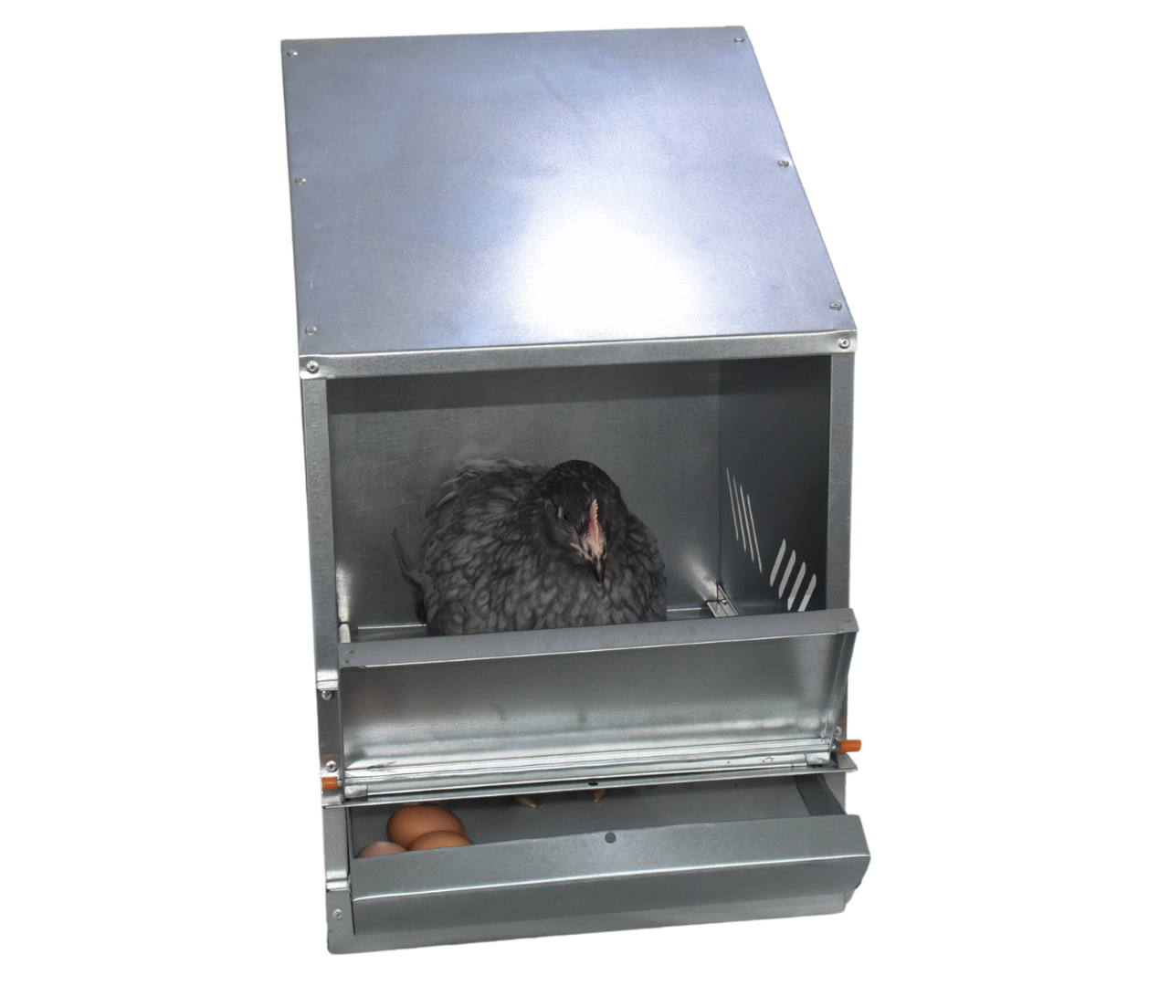 Гнездо для кур-несушек 3-1. Фото 6