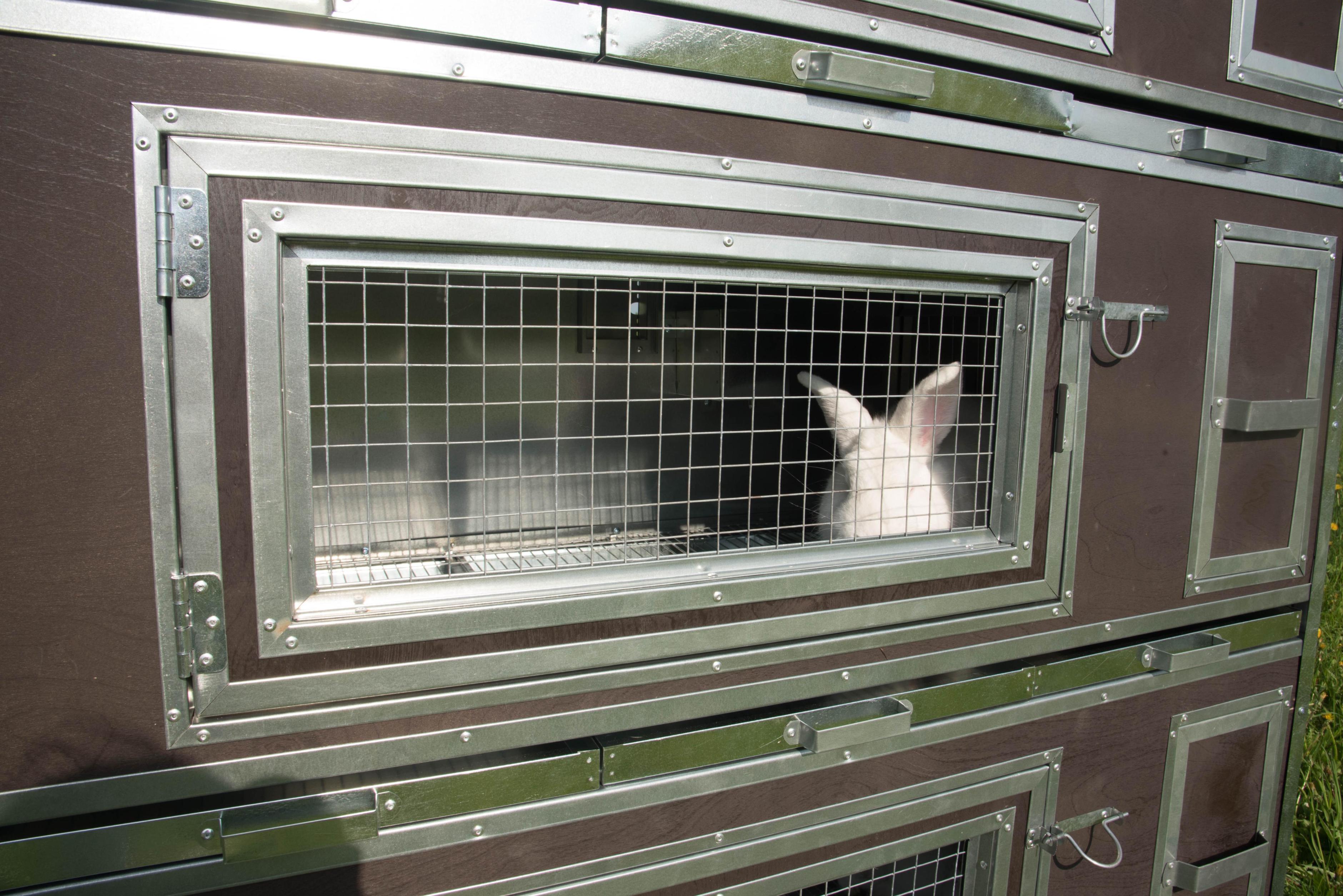 Утепленный отапливаемый крольчатник "Бестселлер" М-12. Фото 19