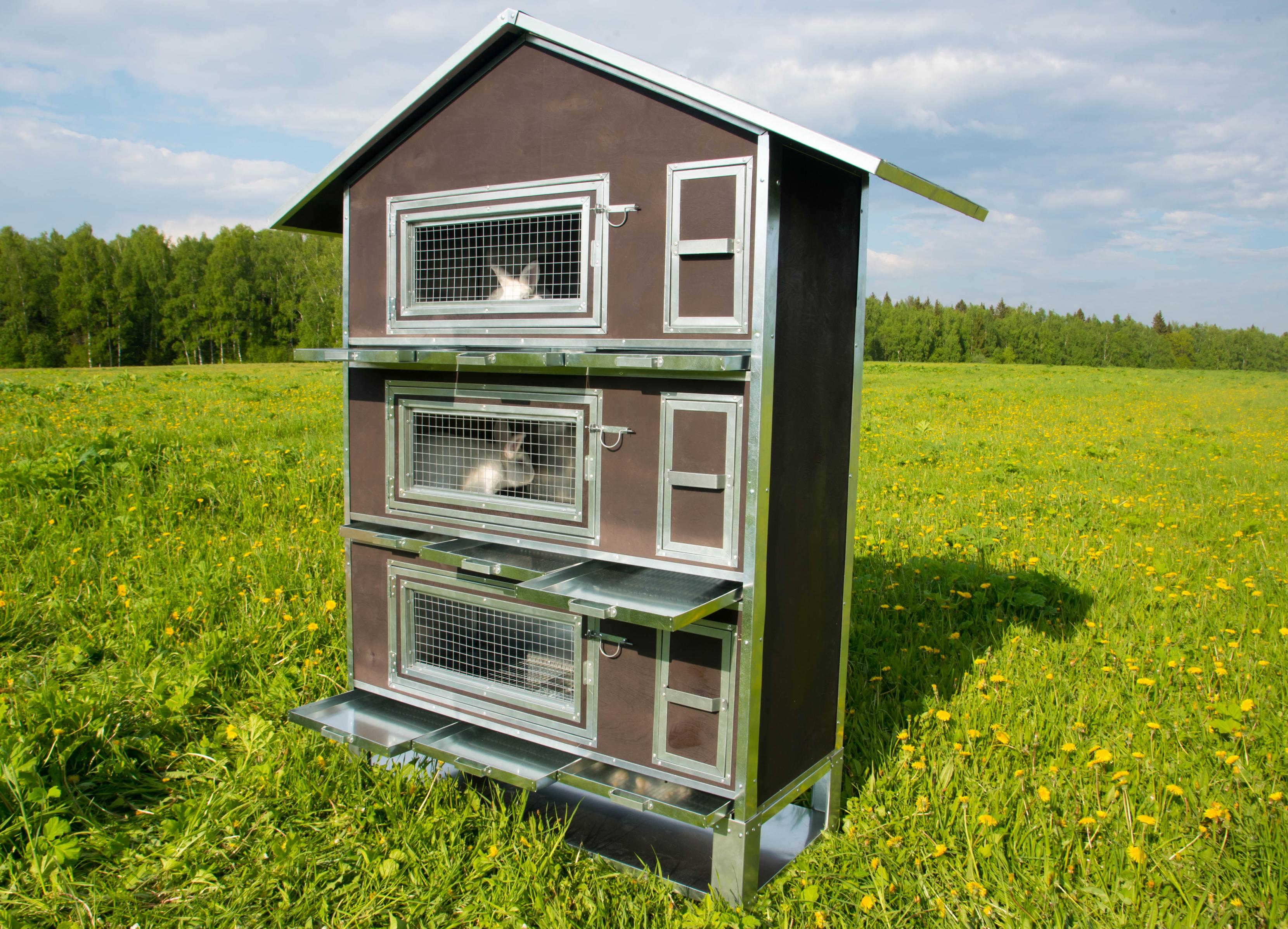 Утепленный отапливаемый крольчатник "Бестселлер" О-23. Фото 6