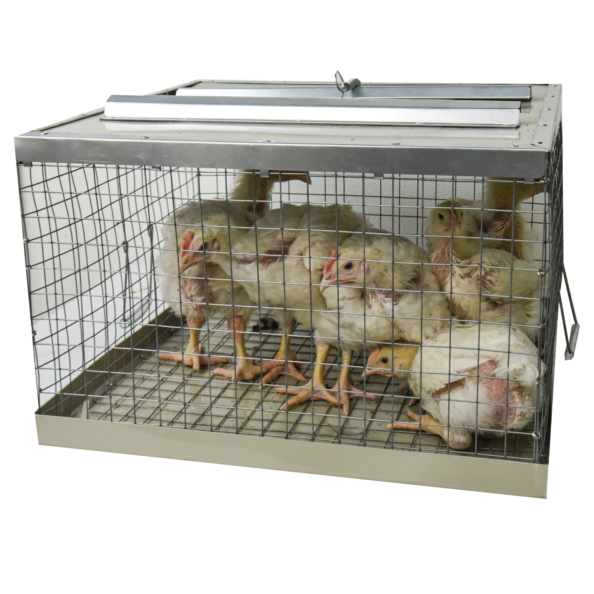 Клетка-переноска для птицы с 1 дверцей. Фото 7