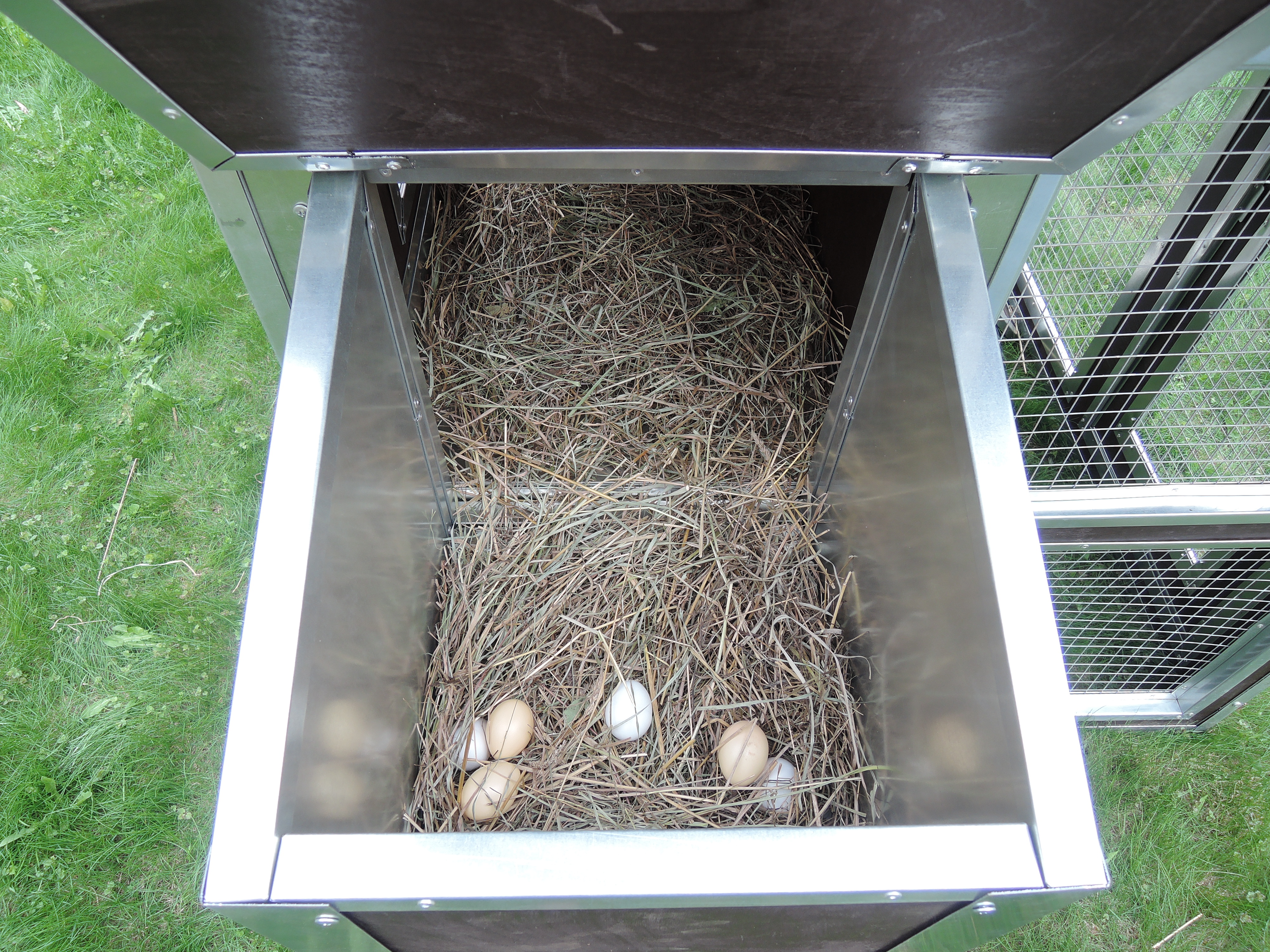 Утепленный отапливаемый уличный курятник с выгулом и гнездом "Зимняя Мечта" на 8-10 кур. Фото 27