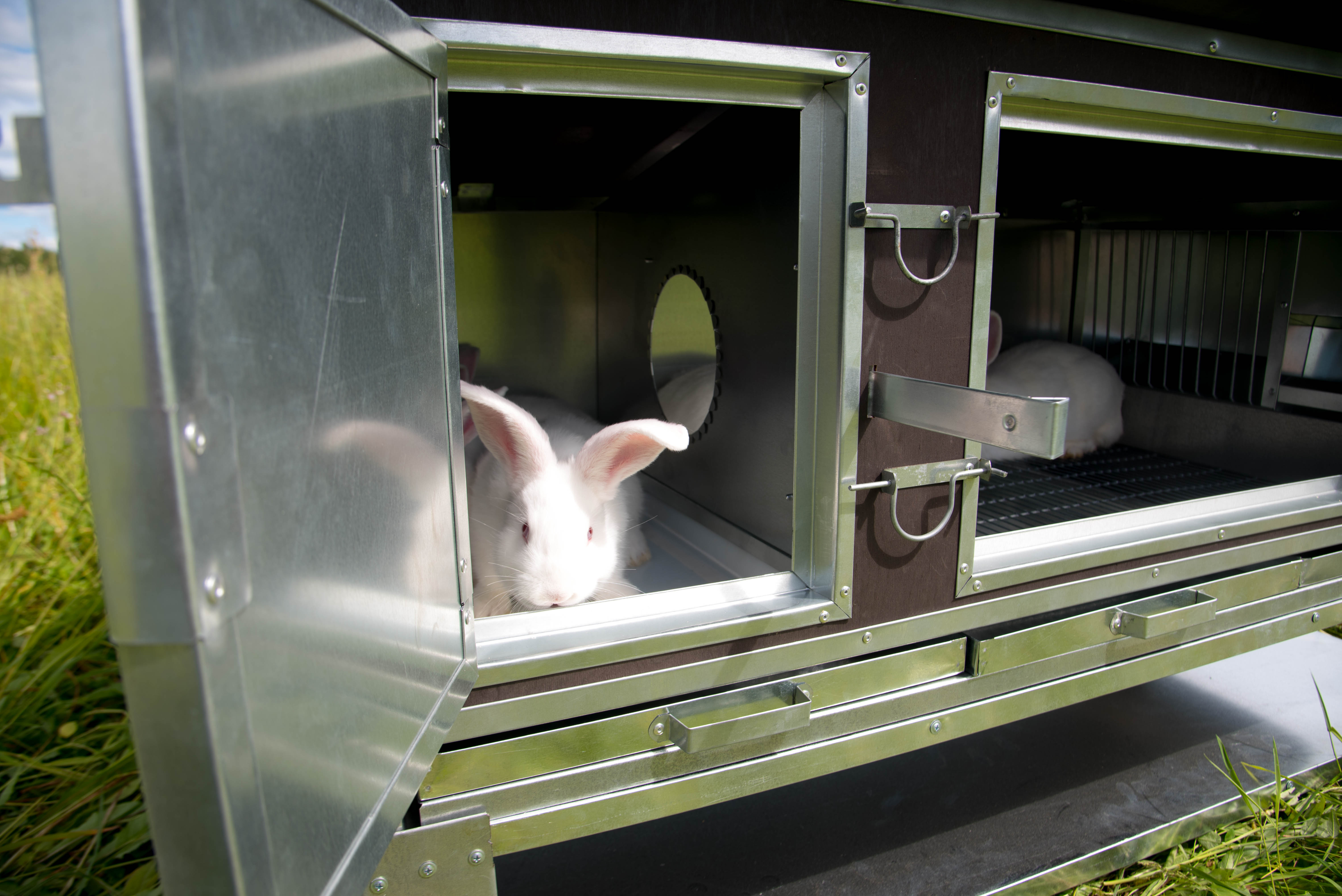 Утепленный отапливаемый крольчатник "Бестселлер" М-11. Фото 10