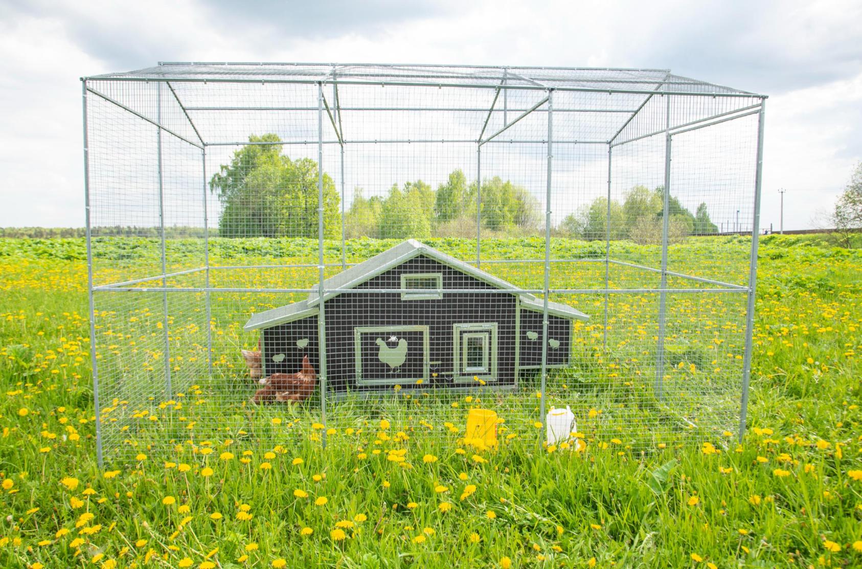 Выгул "Разгуляй" с крышей 2-3-К. Фото 7