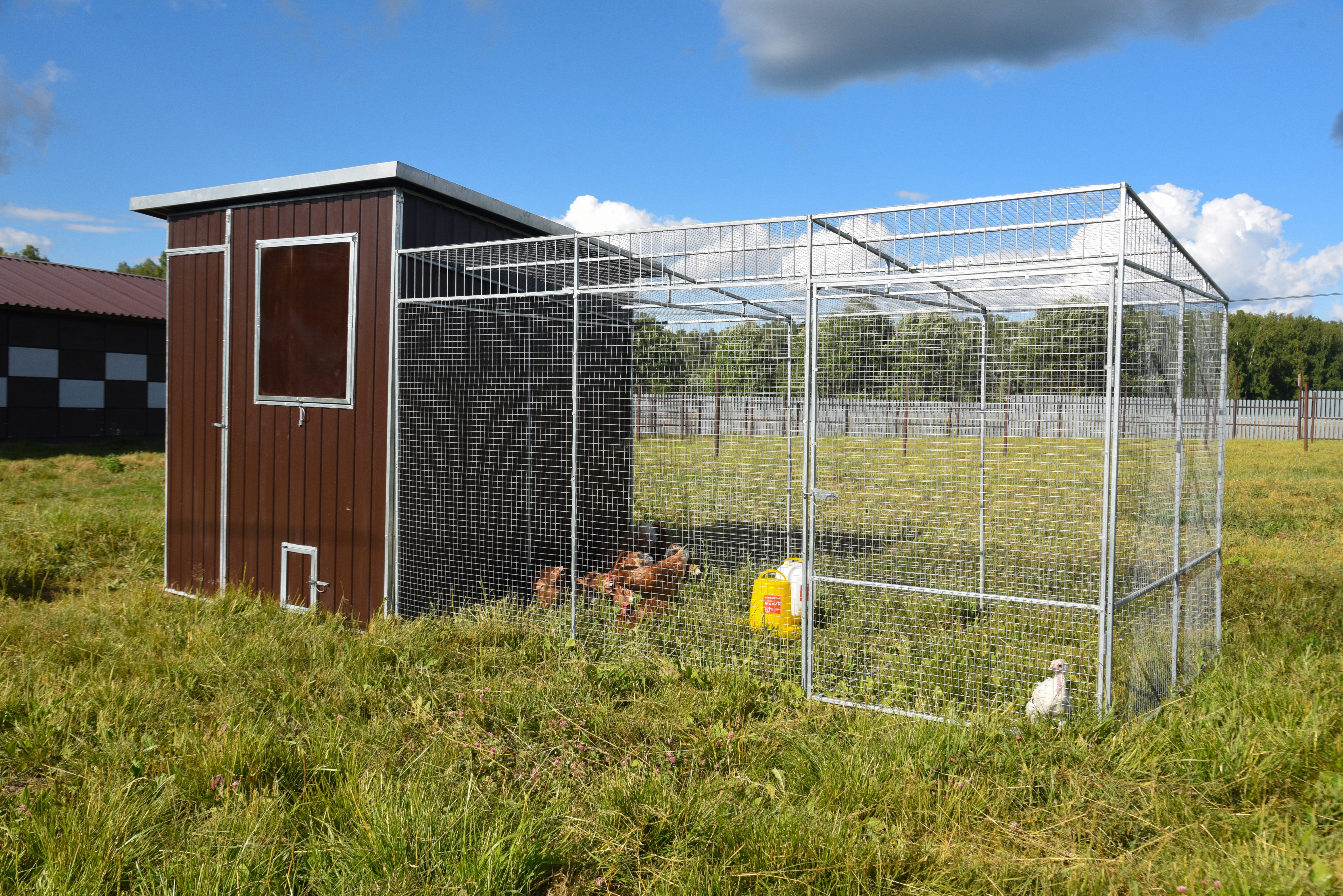 Выгул "Разгуляй" приставной из сетки 1-1-СП. Фото 5