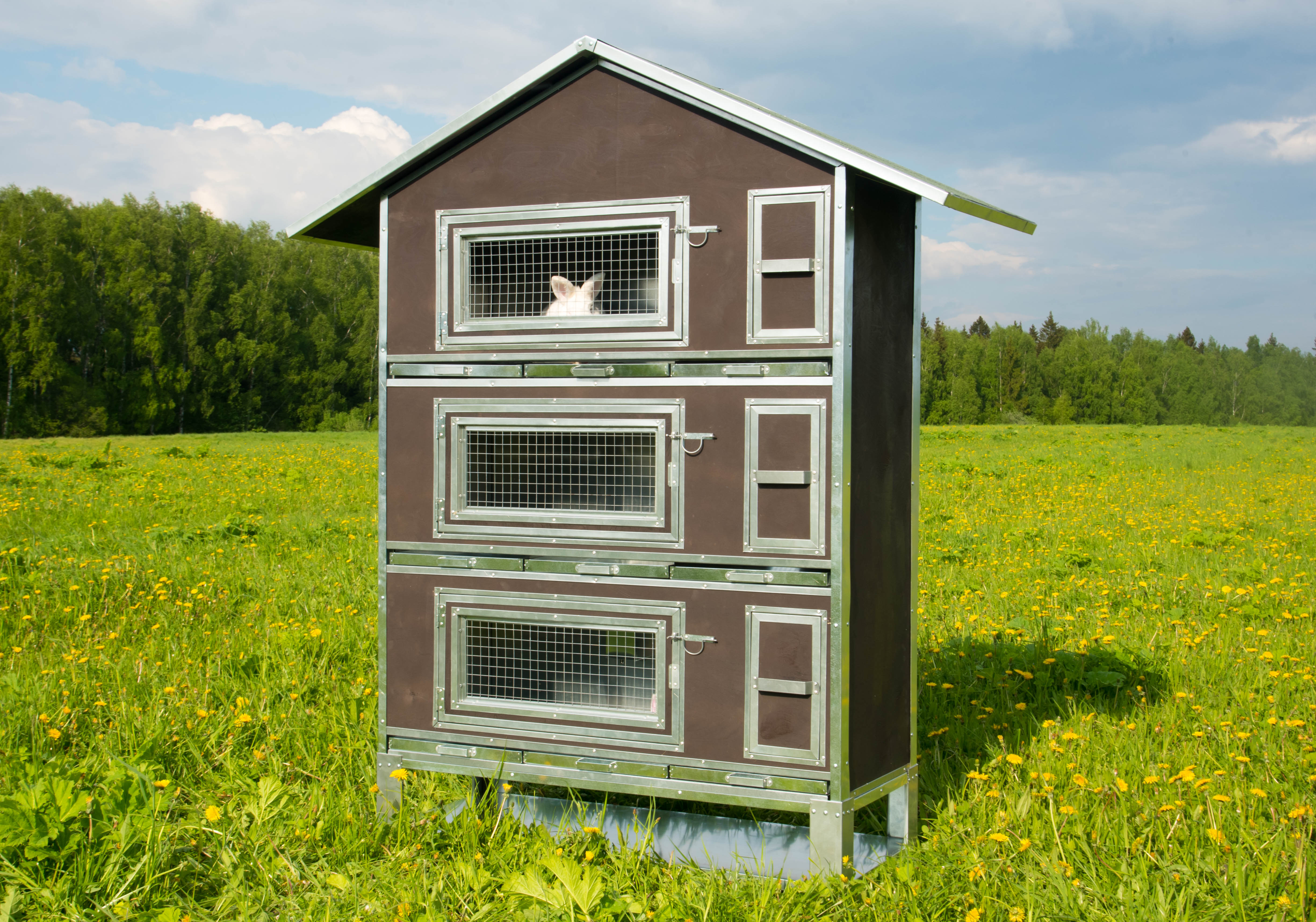 Утепленный отапливаемый крольчатник "Бестселлер" О-23. Фото 4