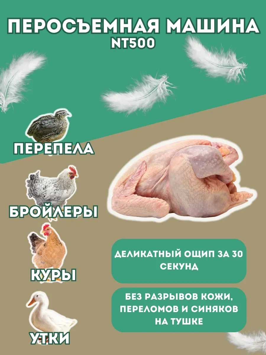 Перосъёмная машина-50 (НТ-500). Фото 5