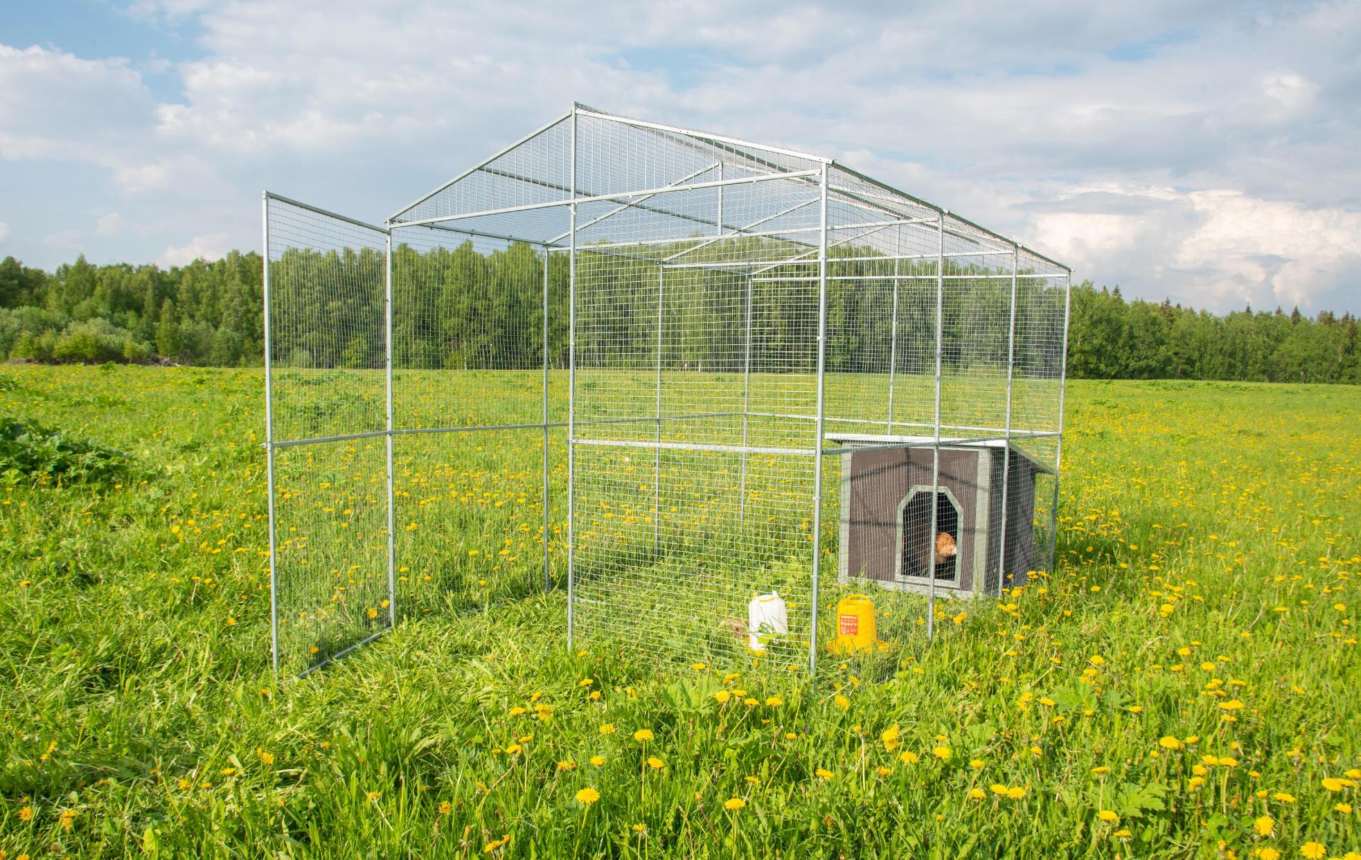 Выгул "Разгуляй" с крышей 2-3-К. Фото 9