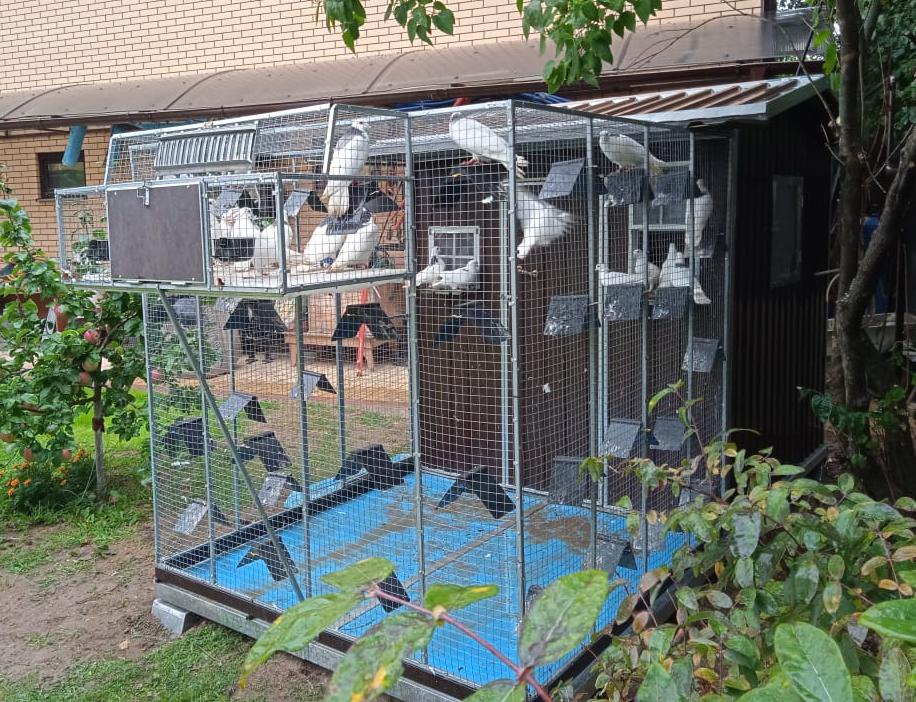 Голубятня "Любовь". Фото 25