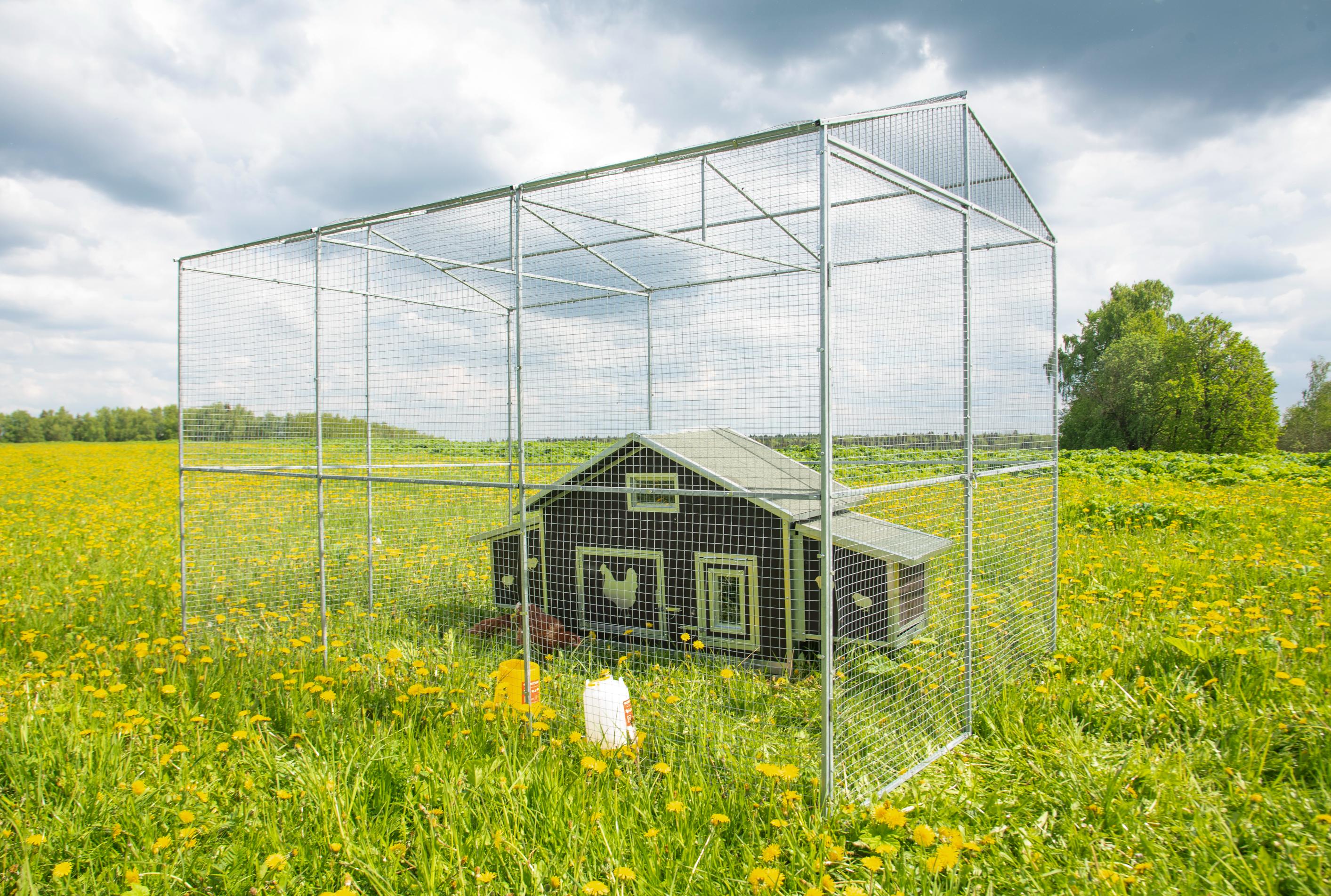 Выгул "Разгуляй" из сетки 2-5-С. Фото 12