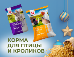 Корма для птицы и кроликов