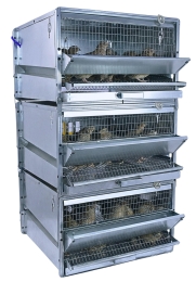 Клетки для перепелов