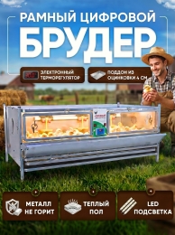 Индюки Индюки