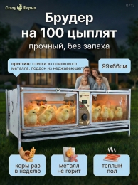 Брудеры для цыплят