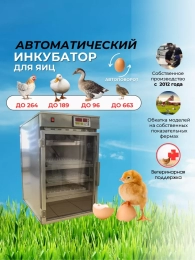 Инкубаторы для яиц