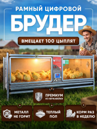 Птицеводство Птицеводство