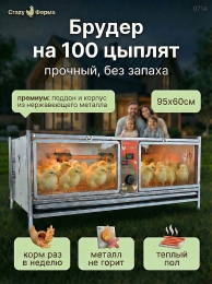 Брудеры для цыплят