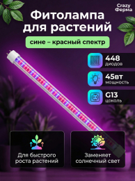 Растениеводство