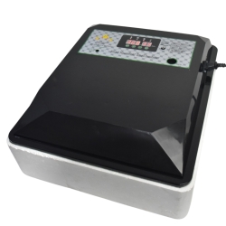 Птицеводство