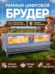 Индюки Индюки