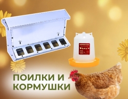 Поилки и кормушки