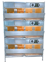 Брудер для цыплят автоматический "Рост А100.3"