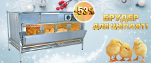 БОЛЬШАЯ РАСПРОДАЖА! Скидка до -53% на брудеры для цыплят! БОЛЬШАЯ РАСПРОДАЖА! Скидка до -53% на брудеры для цыплят!