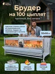 Брудеры для цыплят