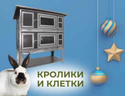 Кролики и клетки