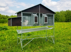 Кролики и клетки