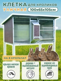 Кролики и клетки