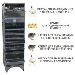 Домашние фермы