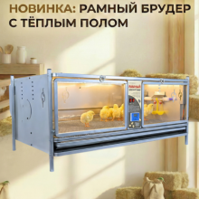 НОВИНКА 2026! Рамный брудер для цыплят с системой «Тёплый пол» и «Антизапах» НОВИНКА 2026! Рамный брудер для цыплят с системой «Тёплый пол» и «Антизапах»