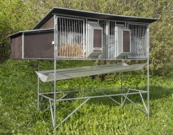 Кролики и клетки